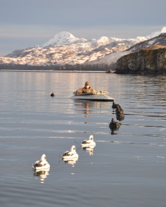 Sea Duck Hunting on Kodiak Island